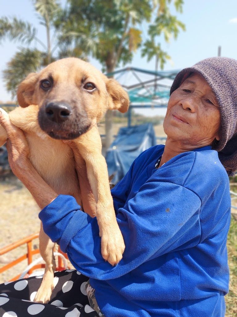 dog-help-768x1024-1.jpg