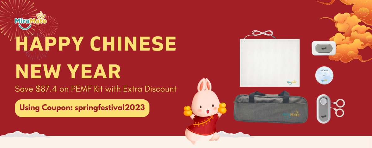 Happy Chinese New Year