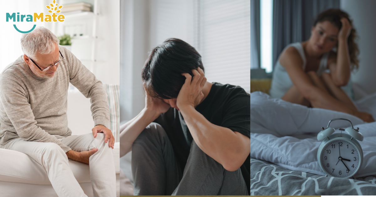 PEMF therapy device MiraMate Mini Magic and Magic Pro offering solutions for chronic pain, stress relief, and joint health