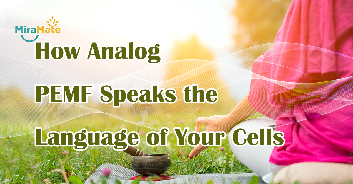How-Analog-PEMF-Speaks-the-Language-of-Your-Cells