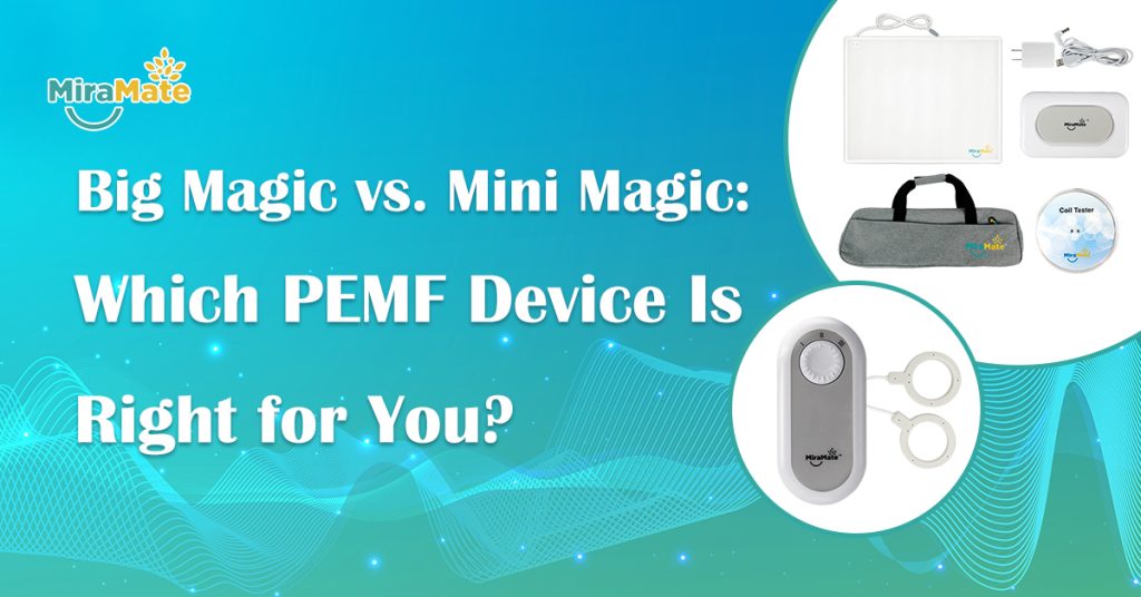 Big-Magic-vs-Mini-Magic
