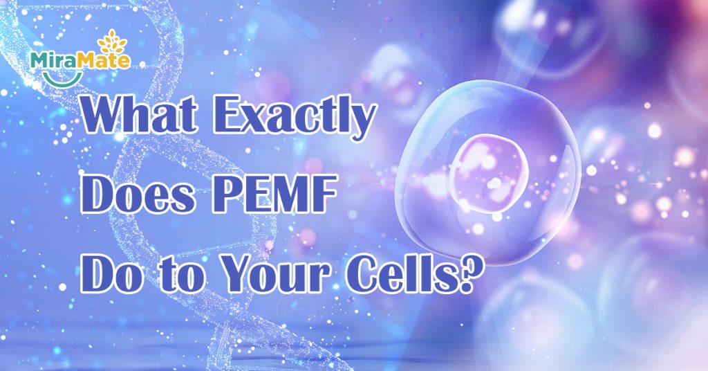 What-Exactly-Does-PEMF-Do-to-Your-Cells