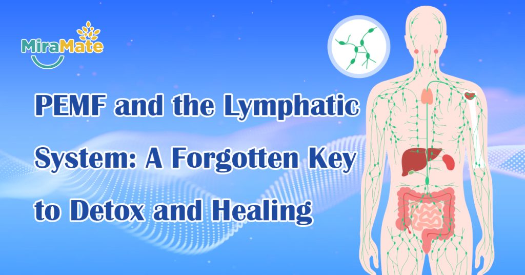 PEMF-and-the-Lymphatic-System-A-Forgotten-Key-to-Detox-and-Healing