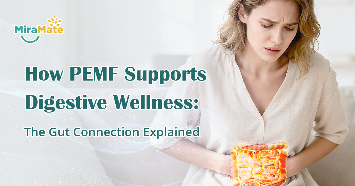 How-PEMF-Supports-Digestive-Wellness-The-Gut-Connection-Explained