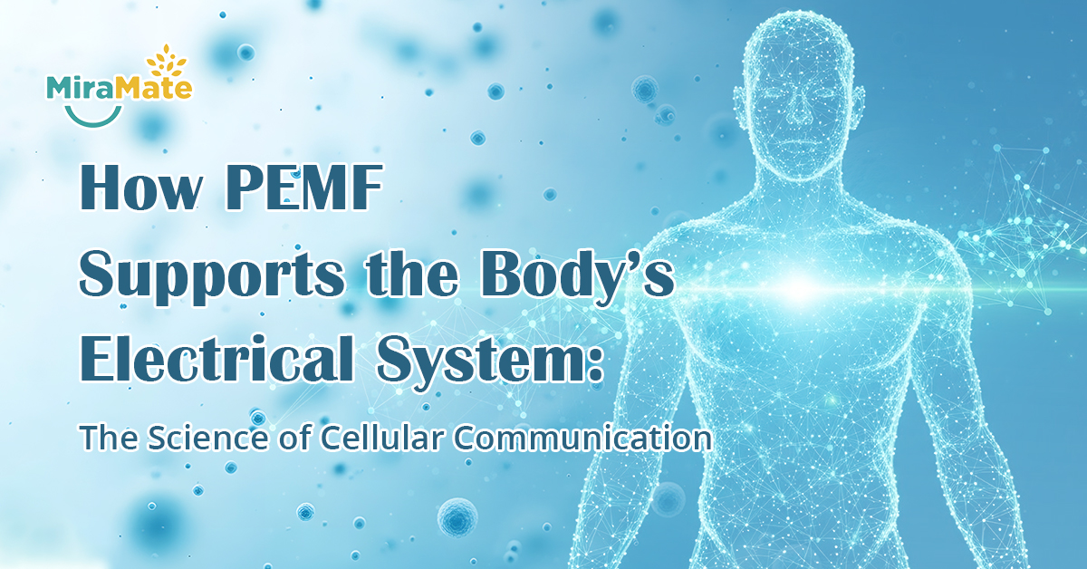How PEMF Supports the Body’s Electrical System The Science of Cellular Communication