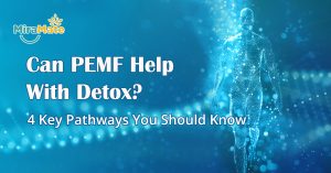 Can PEMF Help With Detox 4 Key Pathways You Should Know