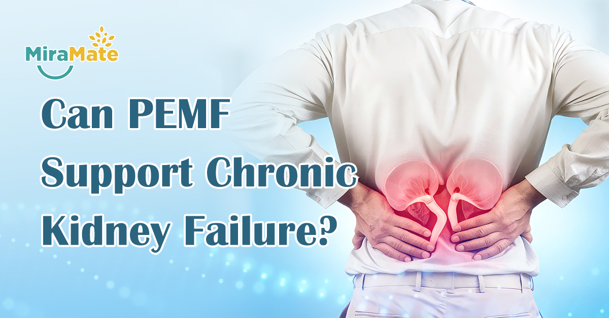 Can PEMF Support Chronic Kidney Failure